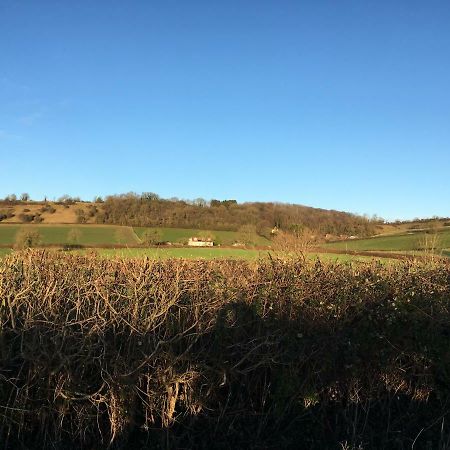 The Annex, Fruit And Honey Farm Lejlighed Bridgwater Eksteriør billede